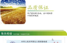 探索健康零食新选择 Gullón谷优全麦高纤维饼干170g